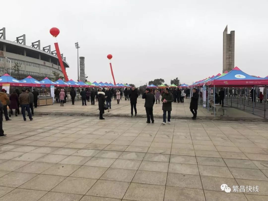 芜湖市繁昌县最新招聘动态及其地区就业市场影响分析